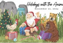 Berlin Hayvanat Bahçesi’nde satılmayan ağaçlar hayvanlara yem olarak verildi; filler memnun, zürafalar temkinli!