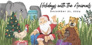 Berlin Hayvanat Bahçesi’nde satılmayan ağaçlar hayvanlara yem olarak verildi; filler memnun, zürafalar temkinli!