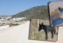 Vahşetin adresi Bodrum: Kedi ve köpekleri zehirleyerek katlettiler!