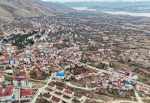 114 hayvanın sebepsiz öldüğü o ilçe, karantinaya alındı