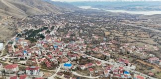 114 hayvanın sebepsiz öldüğü o ilçe, karantinaya alındı