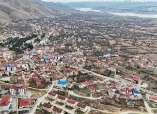 114 hayvanın sebepsiz öldüğü o ilçe, karantinaya alındı