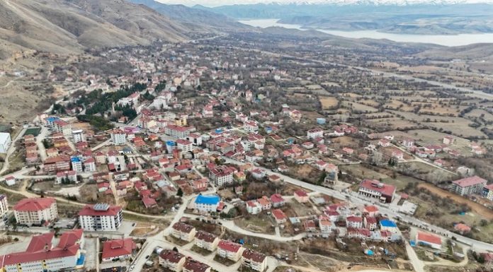 114 hayvanın sebepsiz öldüğü o ilçe, karantinaya alındı