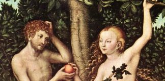 Havva, Adem’e boşuna ikram etmemiş! Gün aşırı bir bir elma yemek kalpten ölme riskini yüzde 40 azaltıyor.