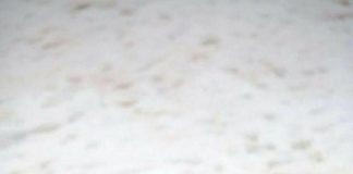 Partnerlerini terk eden penguenlerin, üreme başarısının düştüğü tespit edildi.