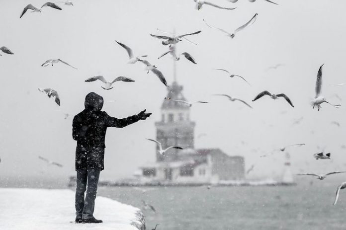 615b2321a2336ab8d399c68aacb44bd9