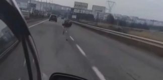 Deve kuşu firarda!