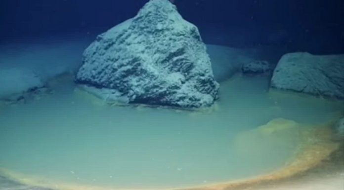 Hazreti Musa’nın Kızıldeniz’i ikiye ayırdığının söylendiği yerde keşfedildi. Bilim adamlarını şaşkına çevirdi