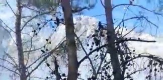 Antalya’da Milli Park’ta orman yangını!