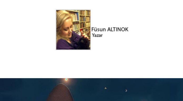 📽️ Füsun ALTINOK; Kediname 56, Flow: Oscar’a Koşan Kedi