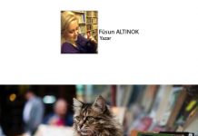 Füsun ALTINOK; Kediname 57; “Kargooo…”