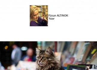 Füsun ALTINOK; Kediname 57; “Kargooo…”