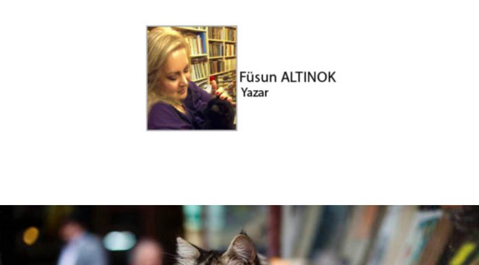 Füsun ALTINOK; Kediname 57; “Kargooo…”