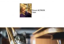 Füsun ALTINOK; Kediname 58; Tüylünüzü Sıkan Misafir