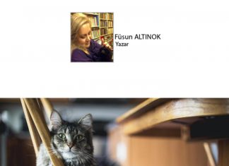 Füsun ALTINOK; Kediname 58; Tüylünüzü Sıkan Misafir