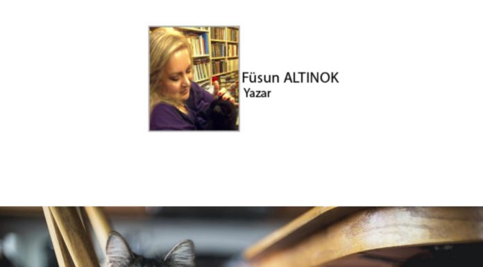 Füsun ALTINOK; Kediname 58; Tüylünüzü Sıkan Misafir