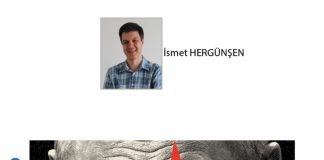 İsmet HERGÜNŞEN; Ukrayna için yolun sonu mu?