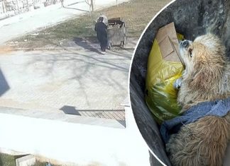 🎥İnsanlık dışı. Köpeğin ayaklarını bağlayıp, çöpe attı!