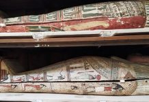 Araştırma/Mısır mumyalarının kokusu araştırmacıları şaşırttı