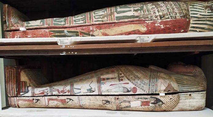 Araştırma/Mısır mumyalarının kokusu araştırmacıları şaşırttı