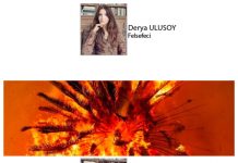 Derya ULUSOY; Uyanmak İçin Çok mu Geç? Baba, Yanan Oğul ve Kafeinsiz Protestocular