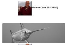 BİR BAŞKA ÂLEMDİ BOĞAZİÇİ – 22 – BOĞAZ’DA KILIÇBALIĞI AVINA ÇIKIŞIMIN ÖYKÜSÜ