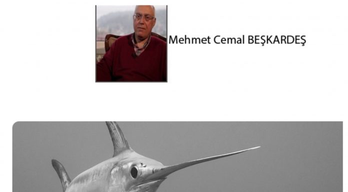 BİR BAŞKA ÂLEMDİ BOĞAZİÇİ – 22 – BOĞAZ’DA KILIÇBALIĞI AVINA ÇIKIŞIMIN ÖYKÜSÜ