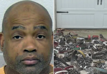 ABD’de bir kişi, köpek dövüştürme ve hayvanlara kötü muameleden 475 yıl hapis cezasına çarptırıldı