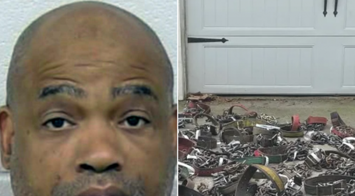 ABD’de bir kişi, köpek dövüştürme ve hayvanlara kötü muameleden 475 yıl hapis cezasına çarptırıldı