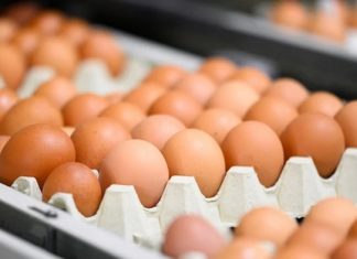 Almanya’da kahverengi yumurta marketlerde artık yer bulamayacak