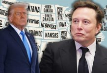 Musk krizi. ABD’de 14 eyalet, Trump ve Musk’a “sınırsız ve kontrolsüz” yetki davası açtı