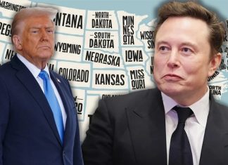 Musk krizi. ABD’de 14 eyalet, Trump ve Musk’a “sınırsız ve kontrolsüz” yetki davası açtı