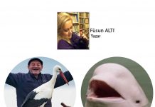 📽️Füsun ALTINOK; Kediname 61: Yaren Leylek ve Zeytinsu Romantizmi