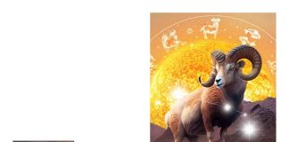 Güner YÖNEL; Nice yıllara sevgili Koçlar. Mutlu doğum günleri.