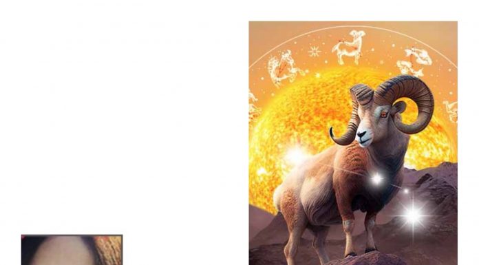 Güner YÖNEL; Nice yıllara sevgili Koçlar. Mutlu doğum günleri.