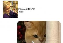 Füsun ALTINOK; Kediname 62 Kedilerin Kurtarılmış Bölgeleri