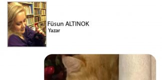 Füsun ALTINOK; Kediname 62 Kedilerin Kurtarılmış Bölgeleri