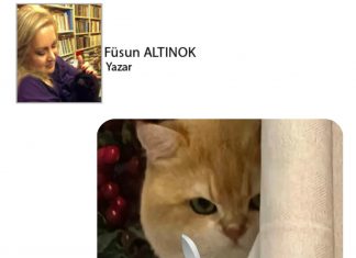 Füsun ALTINOK; Kediname 62 Kedilerin Kurtarılmış Bölgeleri