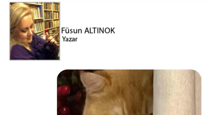 Füsun ALTINOK; Kediname 62 Kedilerin Kurtarılmış Bölgeleri