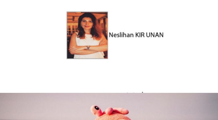Neslihan KIR UNAN; Bebekle Tatilin Püf Noktaları