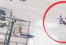 🎥Hayvan Barınağında Yine İşkence! Vahşetin Adresi Bu Kez Konya