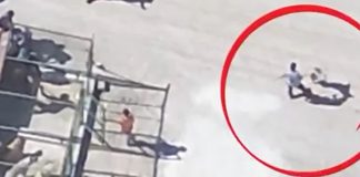 🎥Hayvan Barınağında Yine İşkence! Vahşetin Adresi Bu Kez Konya