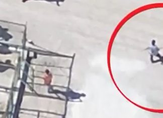 🎥Hayvan Barınağında Yine İşkence! Vahşetin Adresi Bu Kez Konya