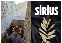 Dilek Gülşan DUMAN/ Yazar/ Şiir/ SÖYLEŞİ