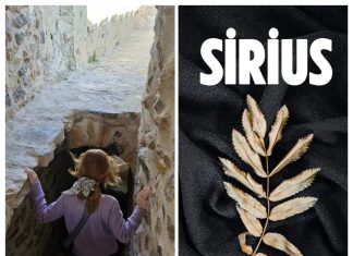 Dilek Gülşan DUMAN/ Yazar/ Şiir/ SÖYLEŞİ