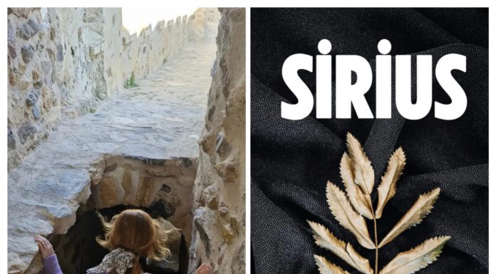 Dilek Gülşan DUMAN/ Yazar/ Şiir/ SÖYLEŞİ