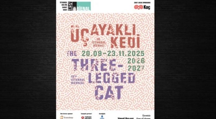 18. İstanbul Bienali: ‘Üç ayaklı kedi’