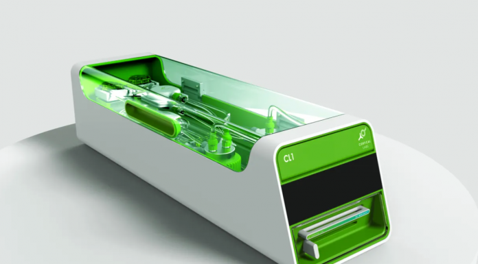 Dünyanın ilk ‘ biyolojik bilgisayarı: Silikon tabanlı bilgi işlemle insan beyin hücrelerini kullanıyor