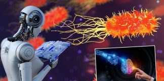 Yapay zeka, bilim insanlarının 10 yıldır çözemediği ‘süper bakteri’ sorununu 48 saatte çözümledi