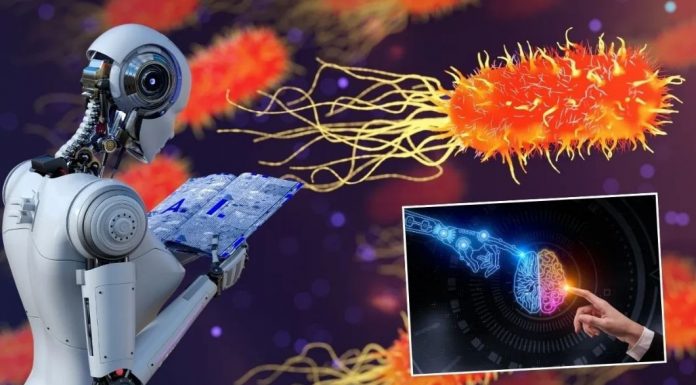 Yapay zeka, bilim insanlarının 10 yıldır çözemediği ‘süper bakteri’ sorununu 48 saatte çözümledi